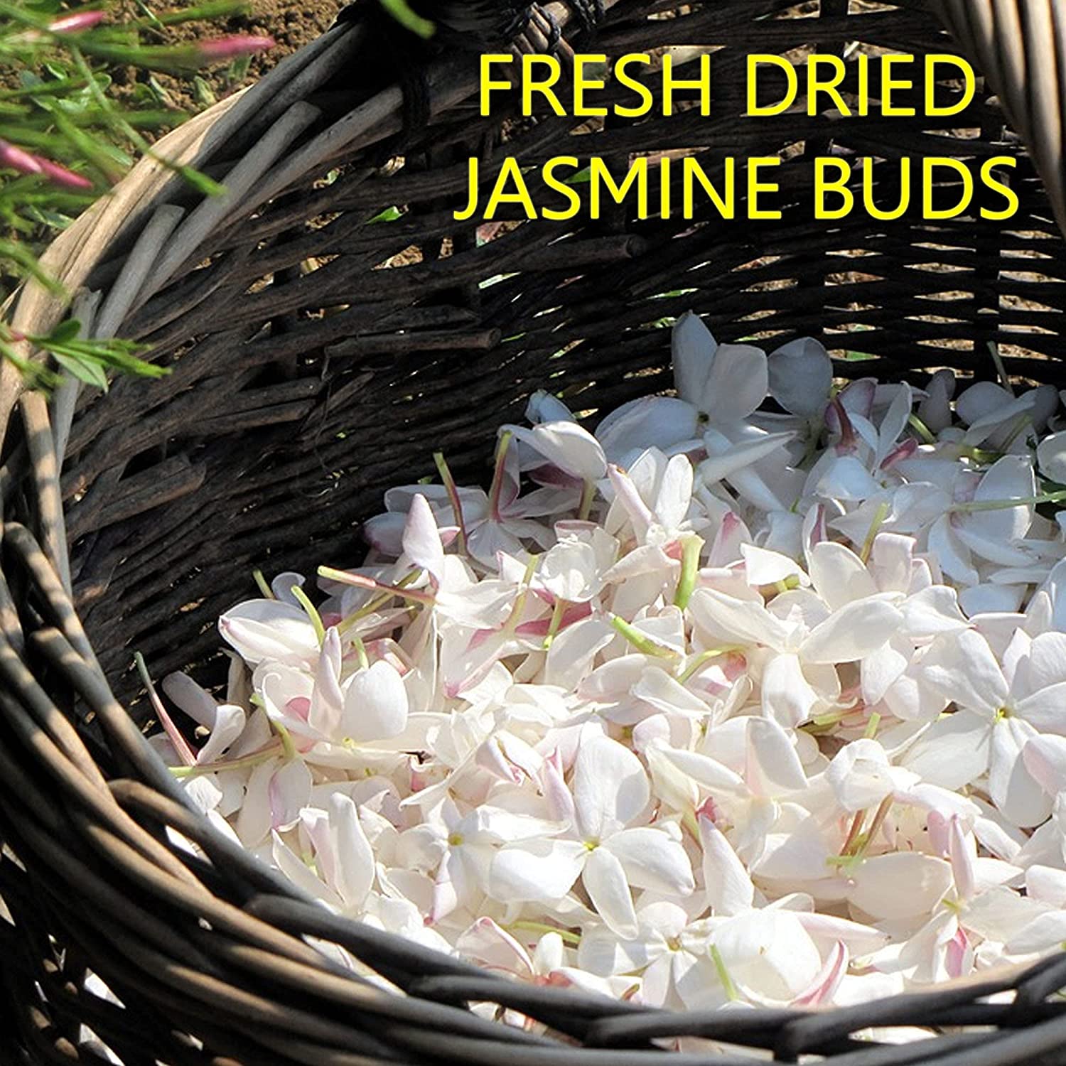 Jasmine Flower Whole - Dried by NY Spice Shop